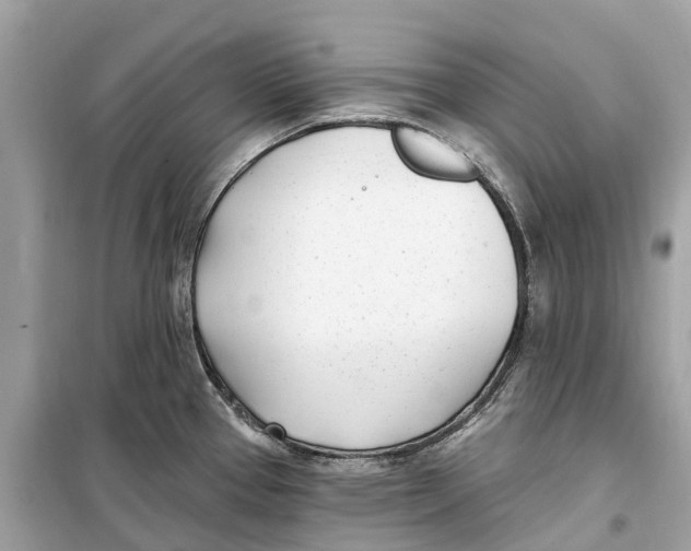 X0000099321337200805231416