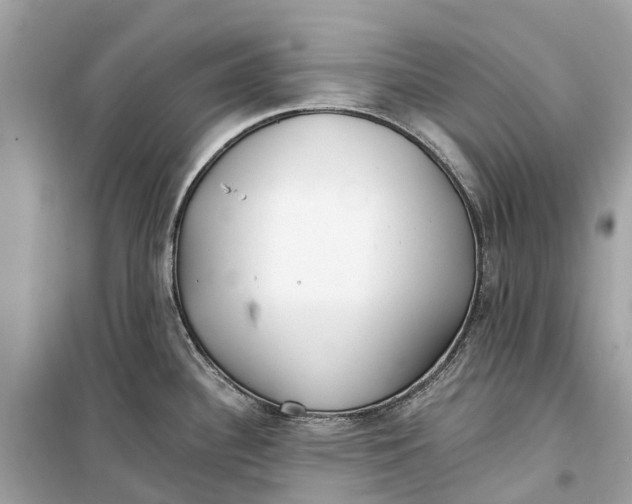 X0000099321340200805231416