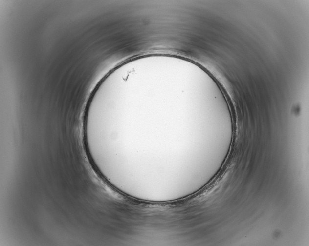 X0000099321341200805231416