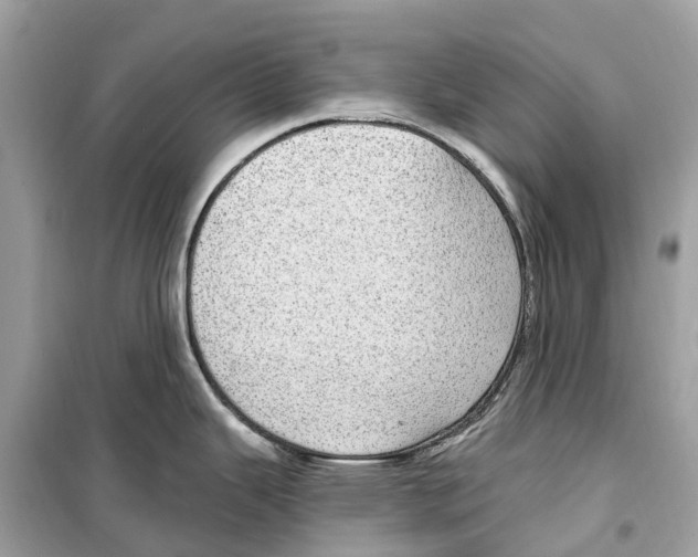 X0000099321343200805231416