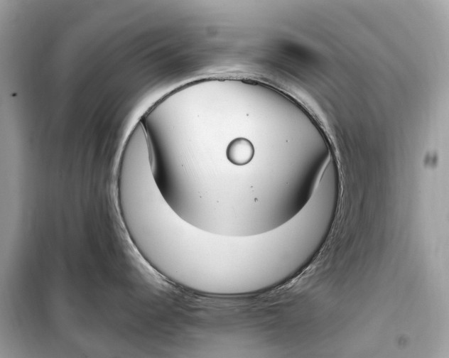 X0000099321344200805231416