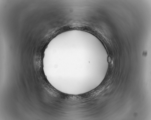 X0000099321348200805231416