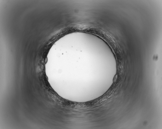 X0000099321349200805231416