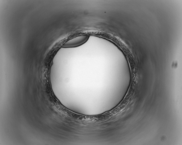 X0000099321351200805231416