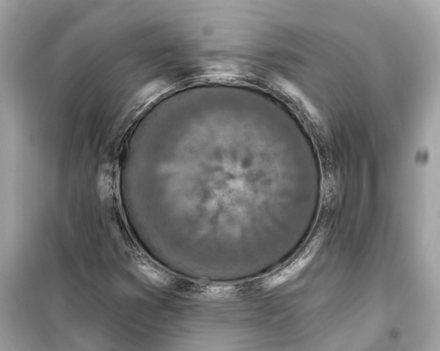 X0000099321353200805231416