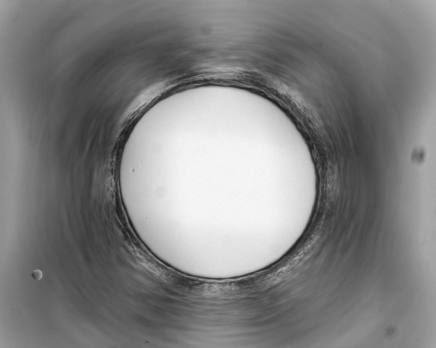 X0000099321354200805231416