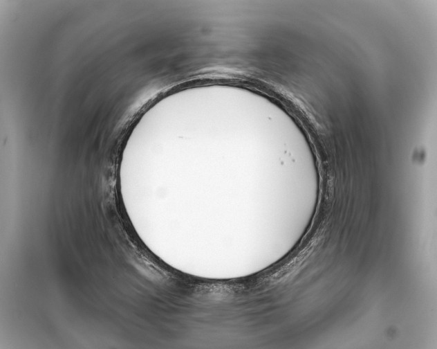 X0000099321355200805231416