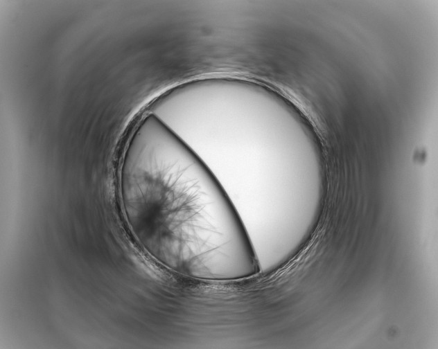 X0000099321356200805231416