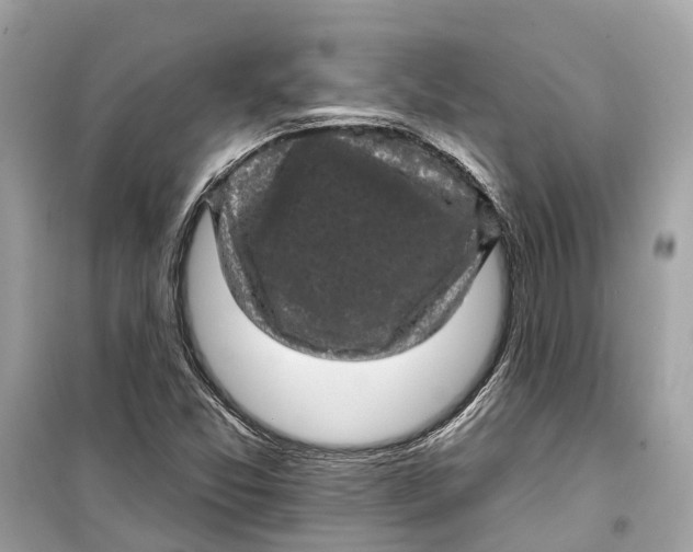 X0000099321357200805231416