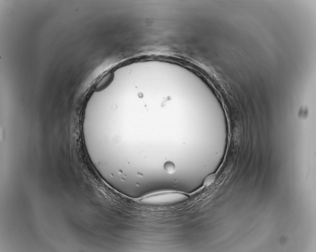 X0000099321359200805231416