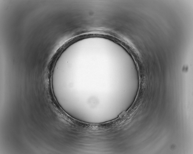 X0000099321360200805231416