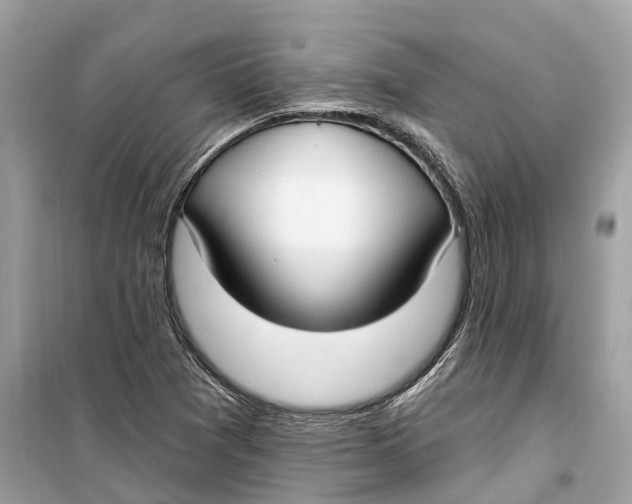 X0000099321361200805231416