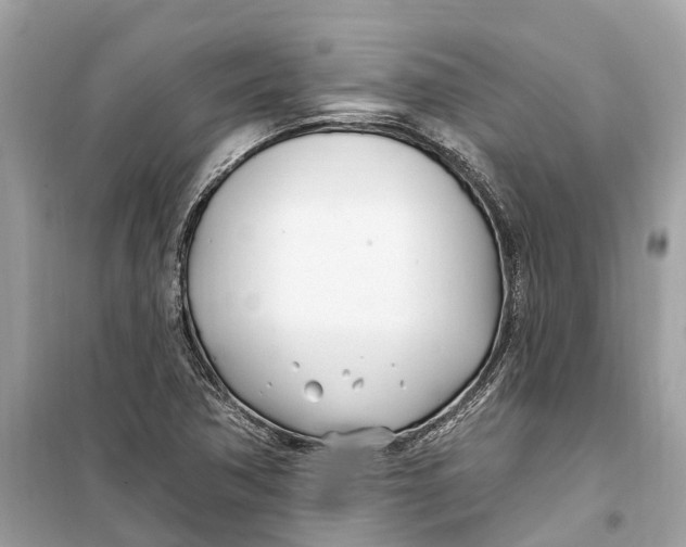 X0000099321362200805231416