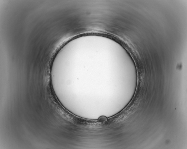 X0000099321363200805231415