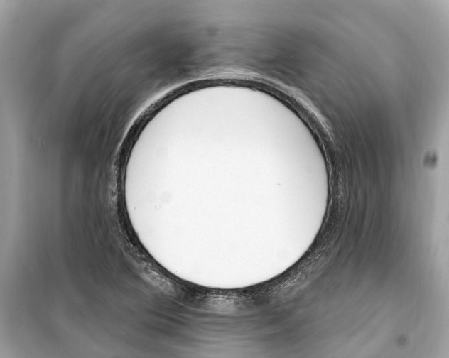 X0000099321364200805231415