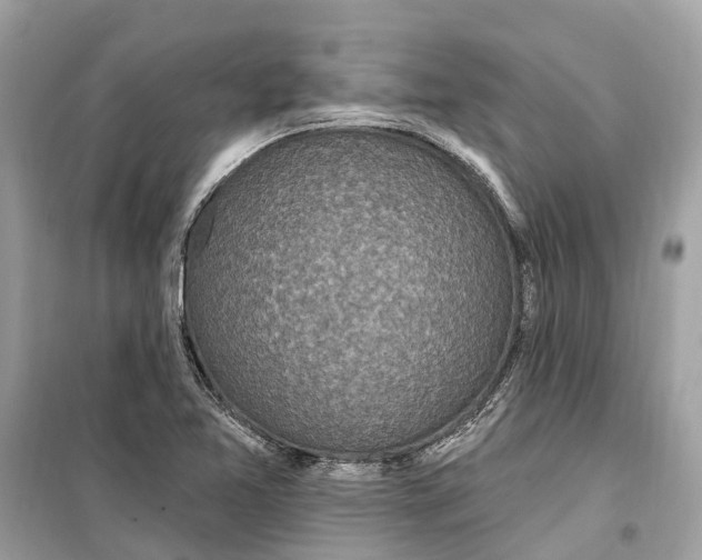 X0000099321365200805231415