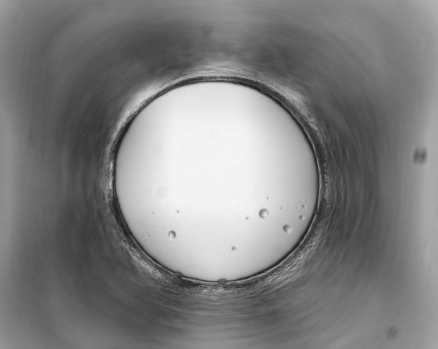 X0000099321366200805231415