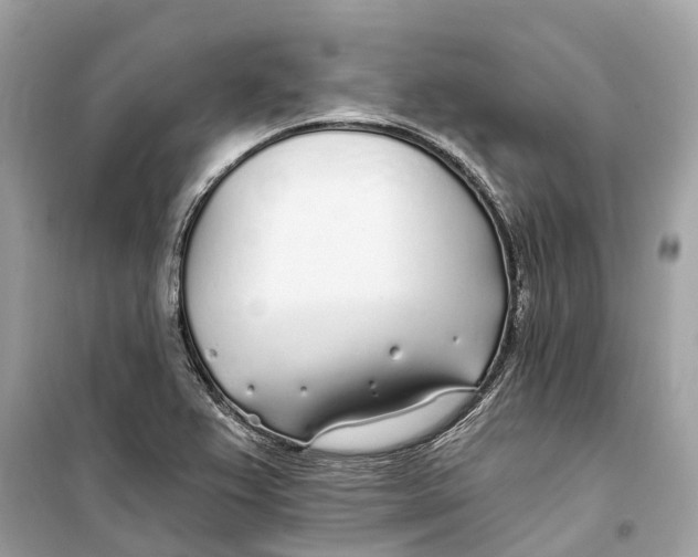 X0000099321367200805231415