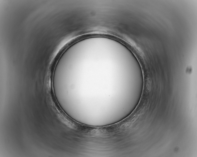 X0000099321368200805231415