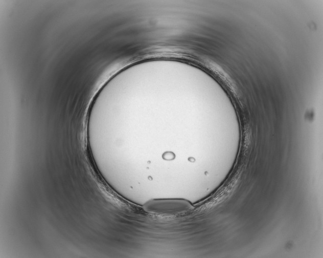 X0000099321370200805231415