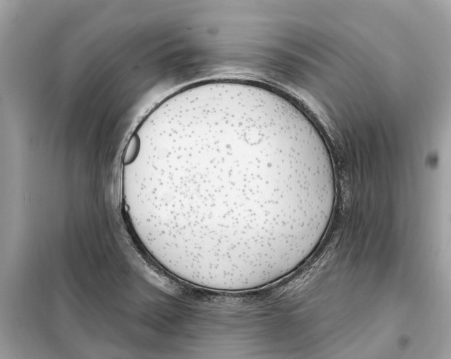 X0000099321371200805231415