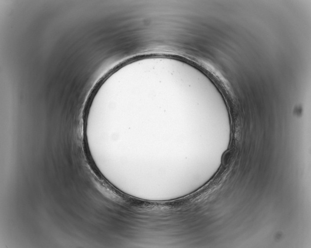 X0000099321372200805231415