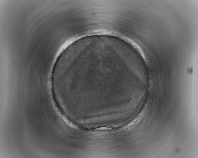 X0000099321373200805231415