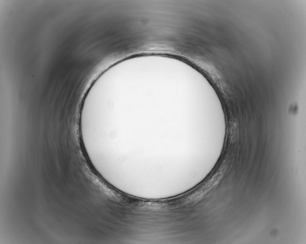 X0000099321374200805231415