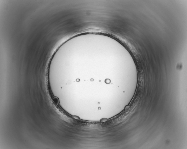 X0000099321375200805231415