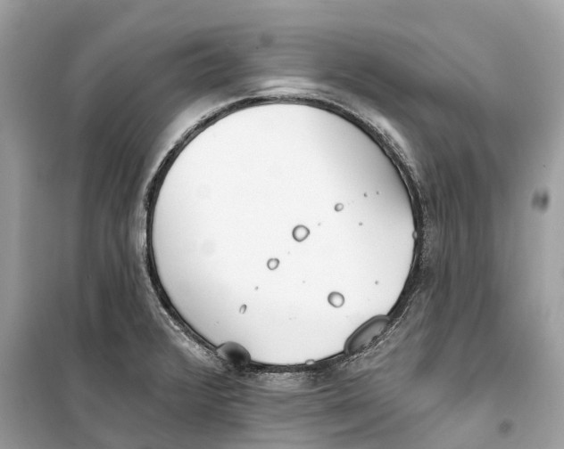 X0000099321376200805231415