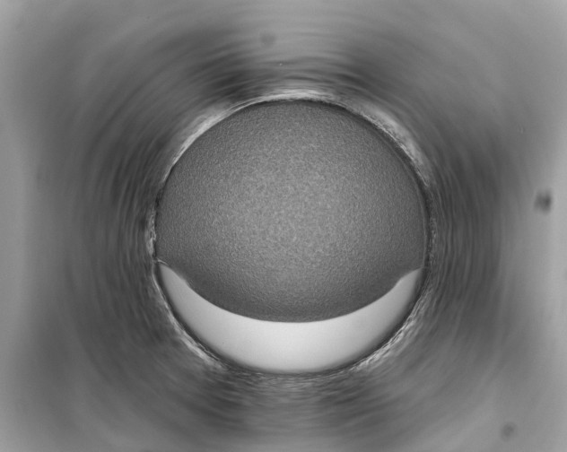 X0000099321377200805231415