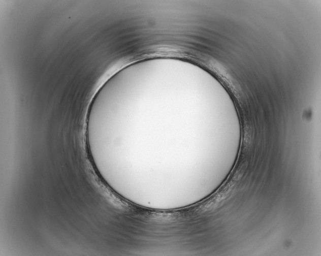 X0000099321378200805231415