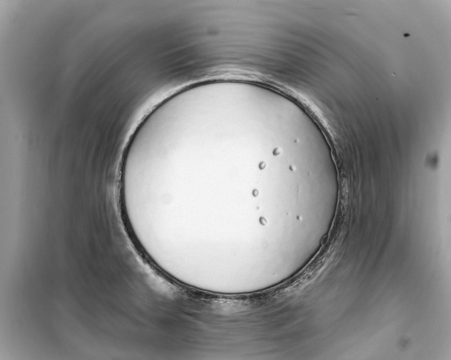 X0000099321379200805231415