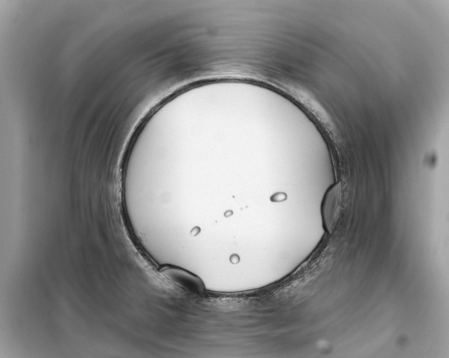 X0000099321380200805231415