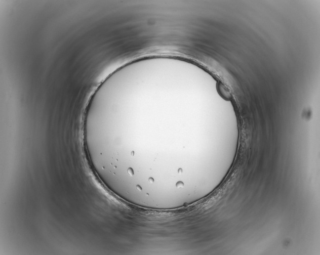 X0000099321382200805231415