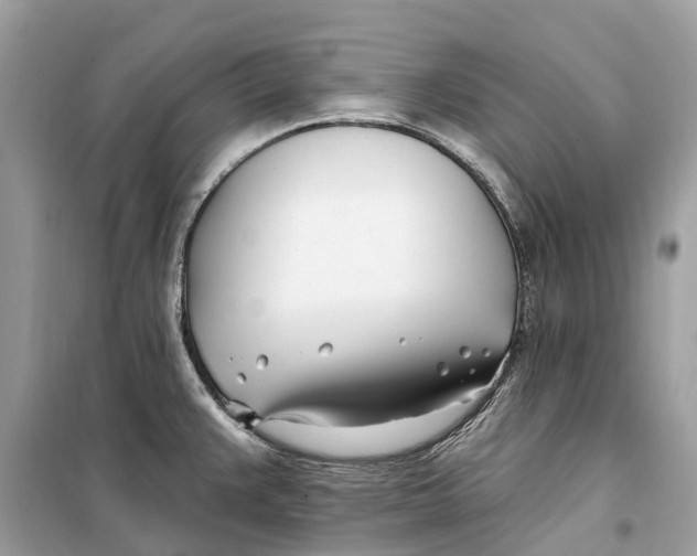 X0000099321383200805231415