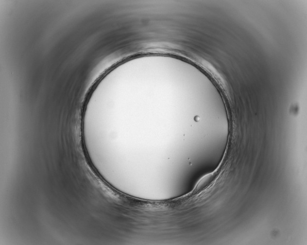 X0000099321384200805231415