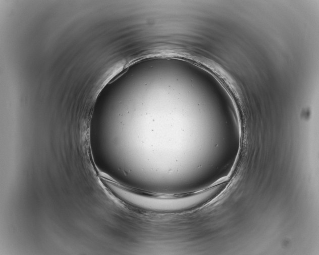 X0000099321385200805231415