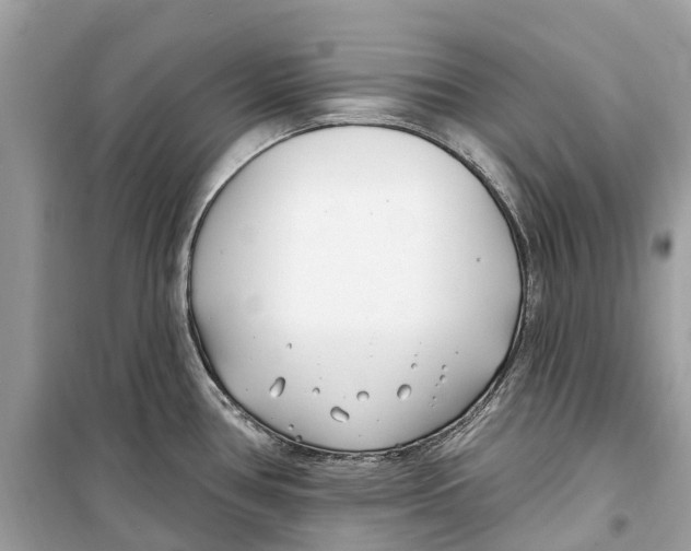 X0000099321386200805231415