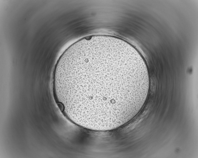 X0000099321387200805231415