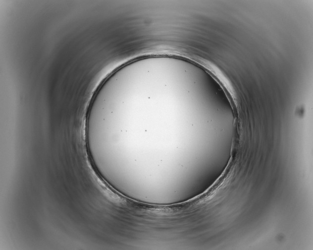 X0000099321388200805231415