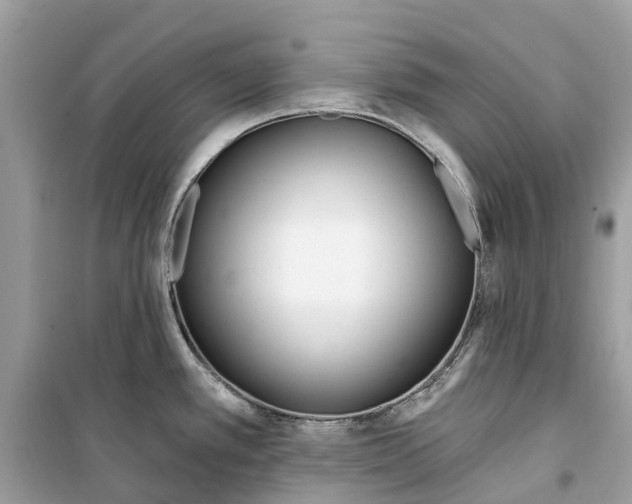 X0000099321389200805231415