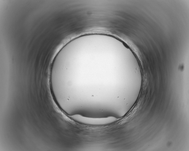 X0000099321390200805231415