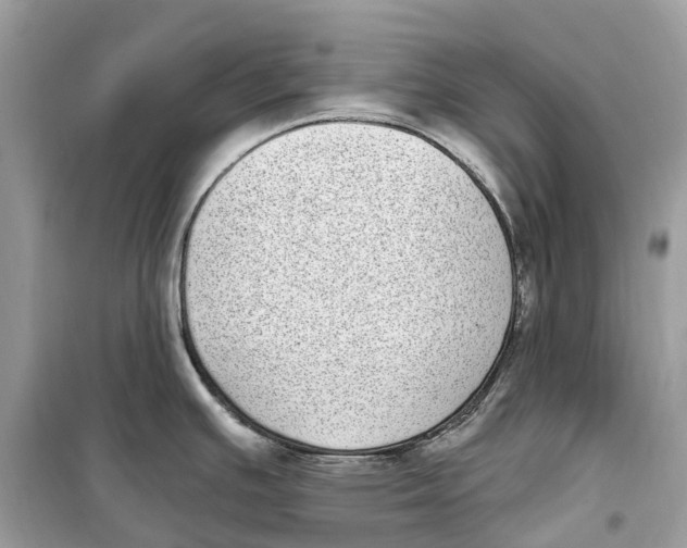 X0000099321391200805231415