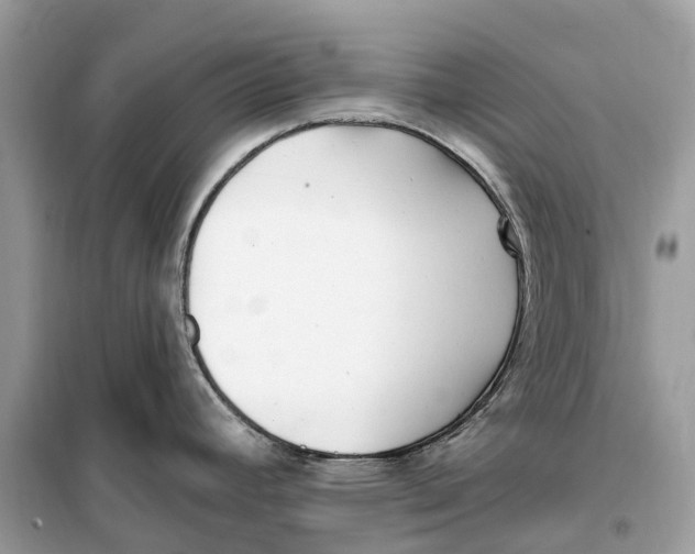 X0000099321392200805231415