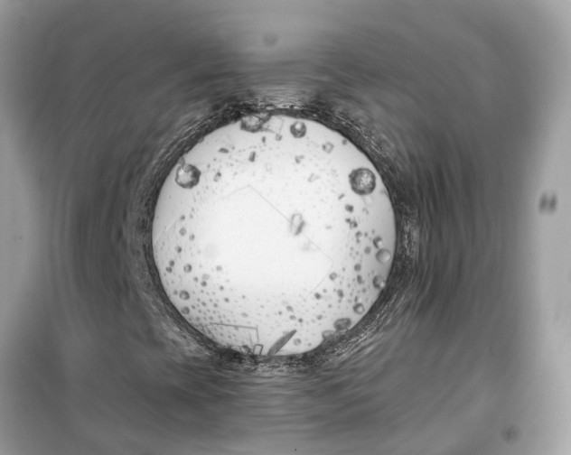 X0000099321393200805231414