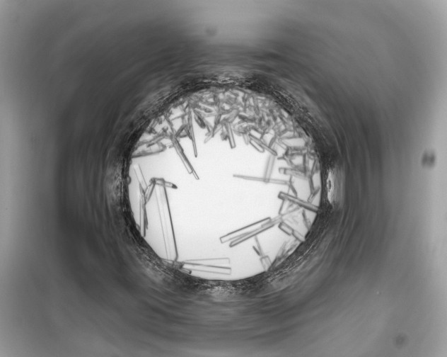 X0000099321395200805231414