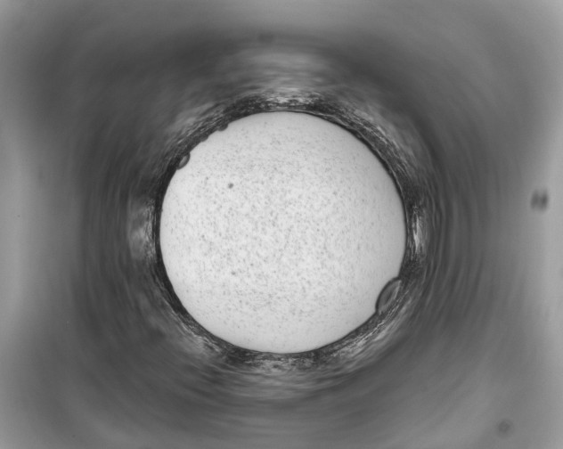 X0000099321396200805231414