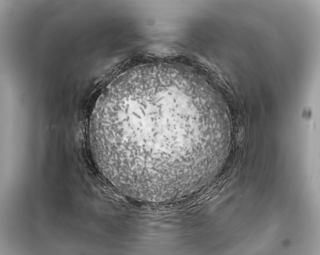 X0000099321397200805231415