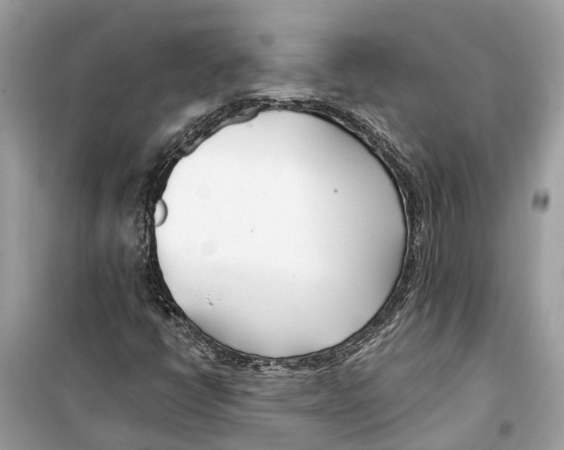 X0000099321398200805231415